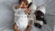 www.bebe-reborn-creation.fr  (4)